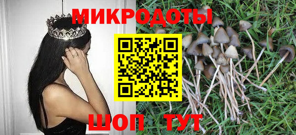 Галлюциногенные грибы прущие грибы  Галлюциногенные грибы GOLDEN TEACHER  Вход с VPN  Ростов Великий 